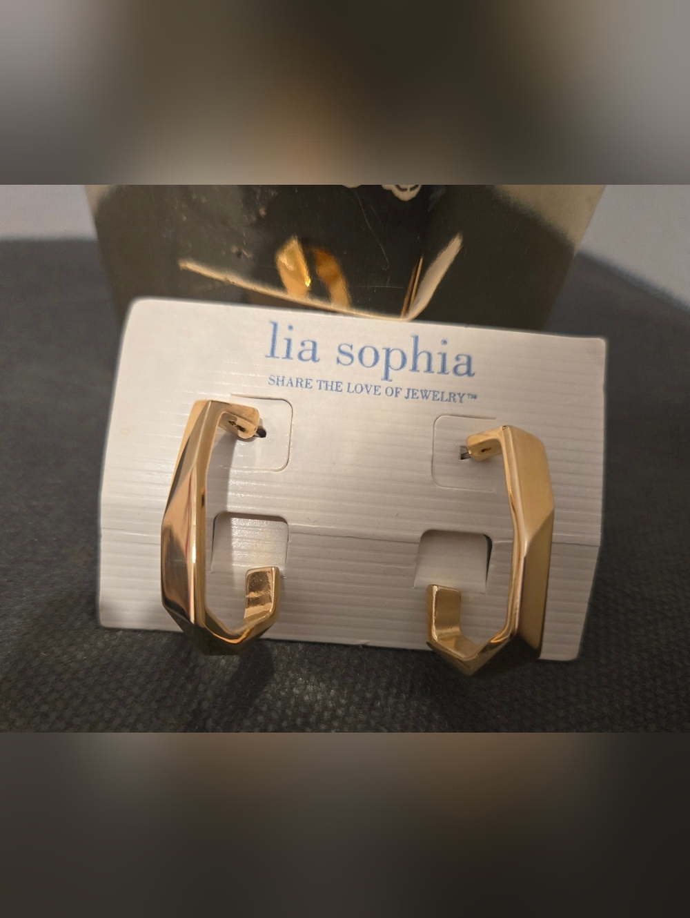 Lia Sophia Geometic Hoop Earrings